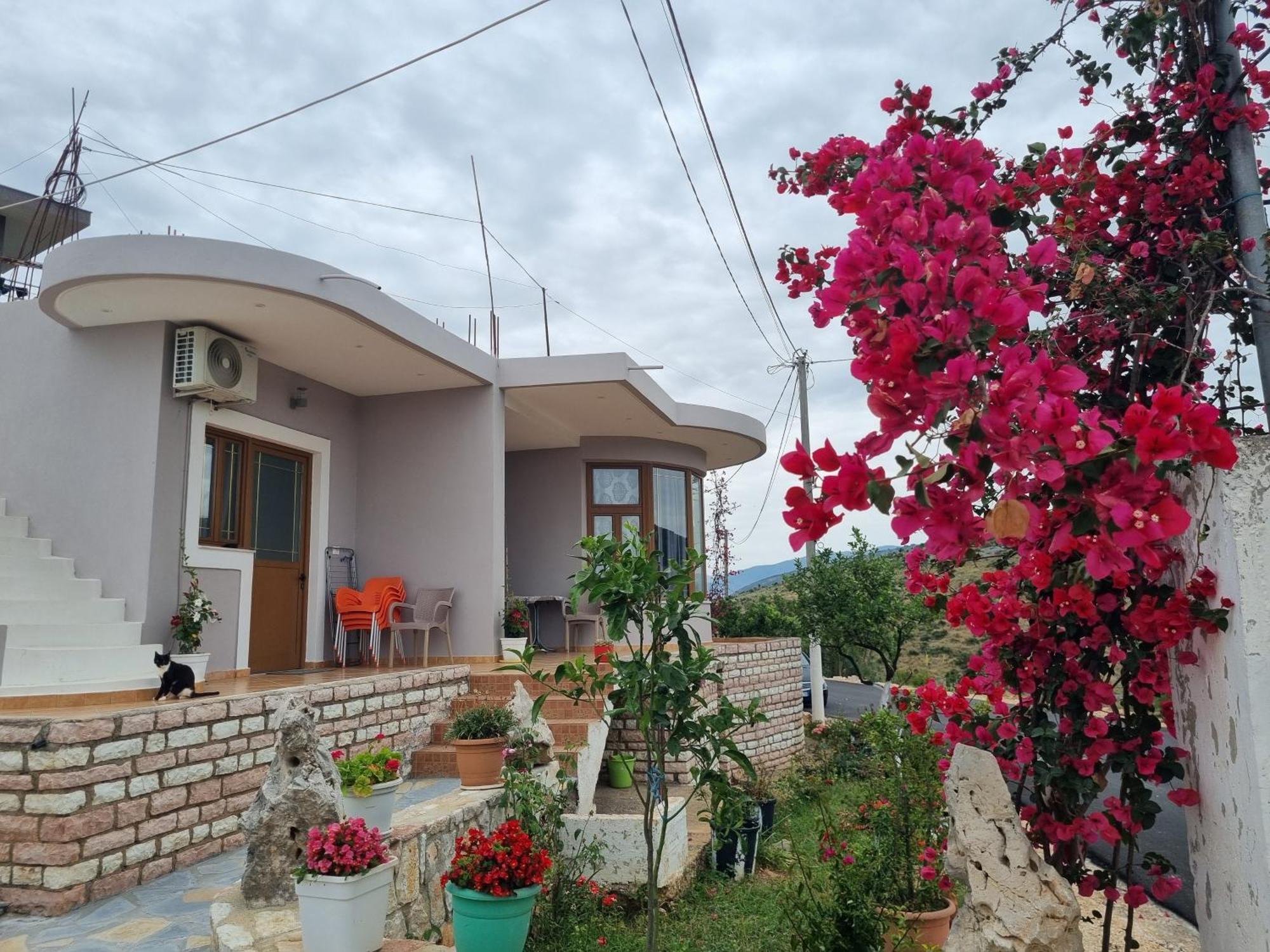 Apartment Besnik Brahimi คซามิล ภายนอก รูปภาพ